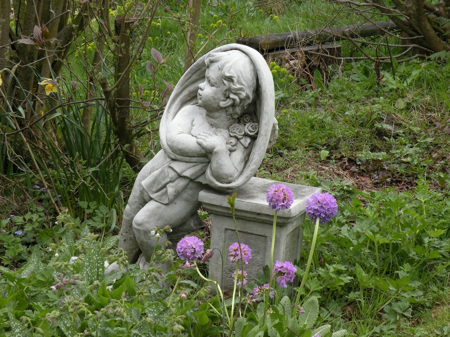 How ZenTangle Can Transform Your Daily Routine